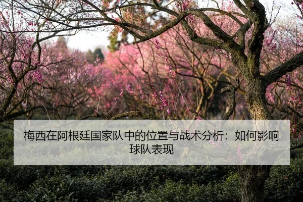 梅西在阿根廷国家队中的位置与战术分析：如何影响球队表现