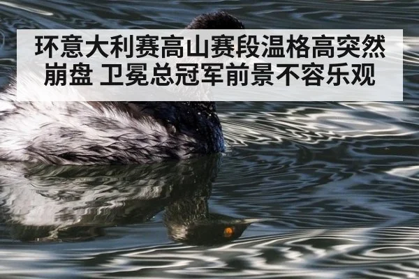 环意大利赛高山赛段温格高突然崩盘 卫冕总冠军前景不容乐观